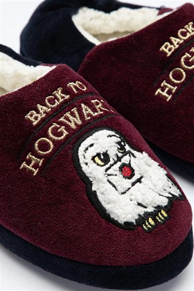 lic-hp-hogwarts-kucne-papuce
