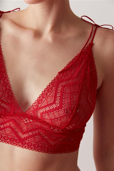 full-lace-triangle-bralet
