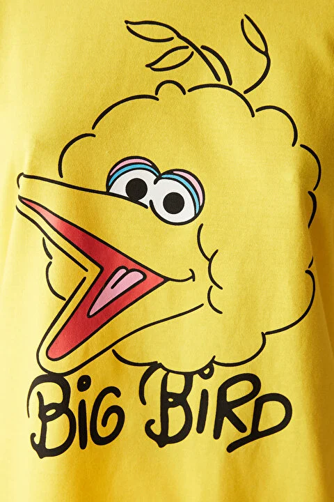 Ent Big Bird pidžama set