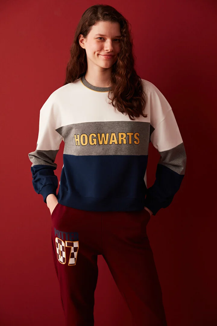 HP COLOR BLOCK SWEATSHIRT MIX