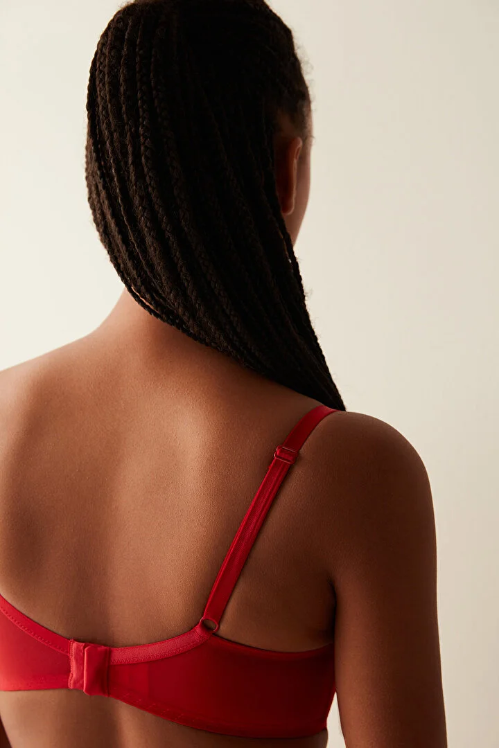 Curvy Broidery grudnjak