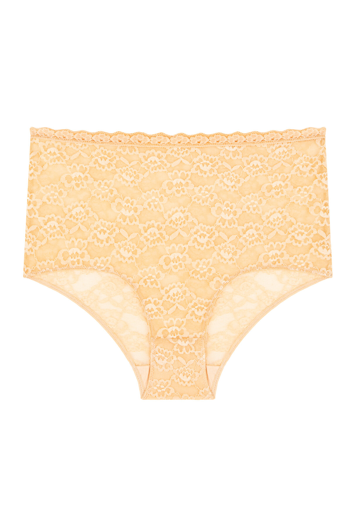 Beauty Lace Highrise slip 
