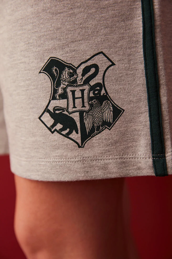 HP OVERSIZE SHORT GE8