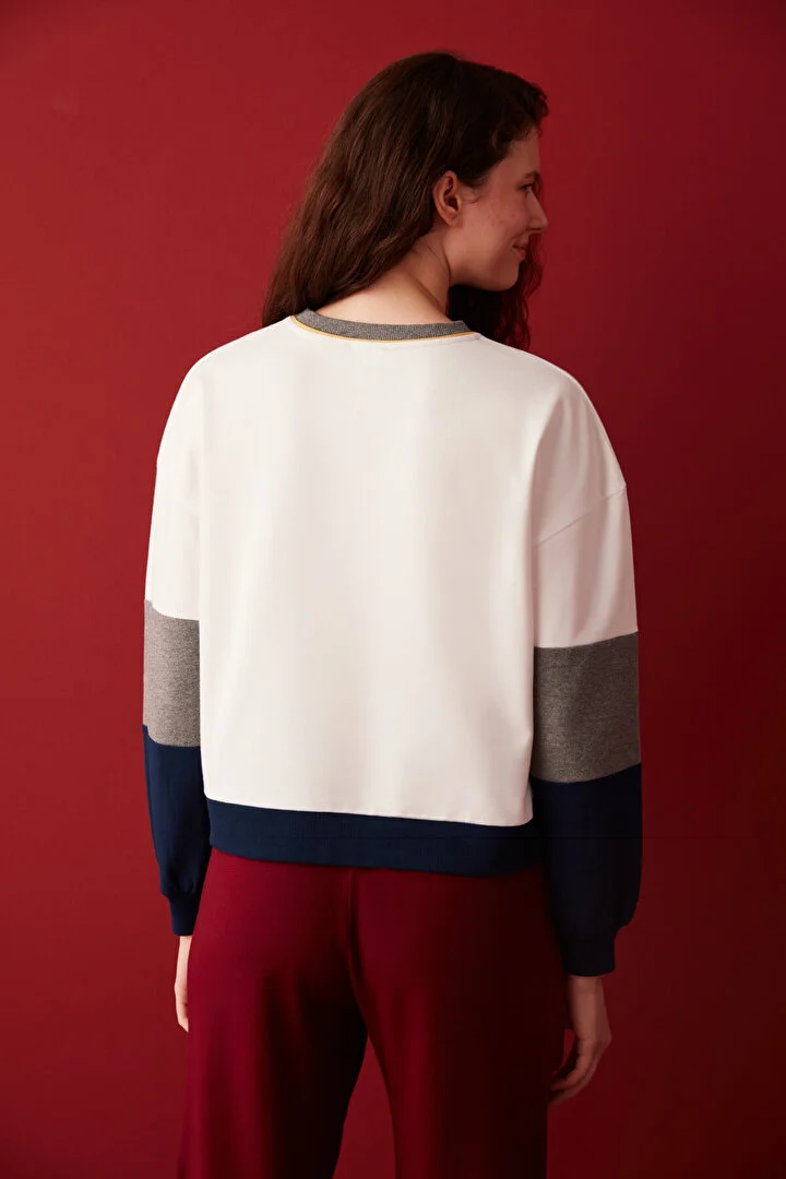 HP COLOR BLOCK SWEATSHIRT MIX